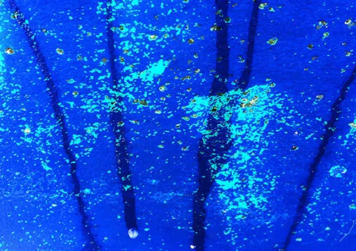 Macro-photographie abstraite d'une coque bleu profond et turquoise, une perle blanche en bas